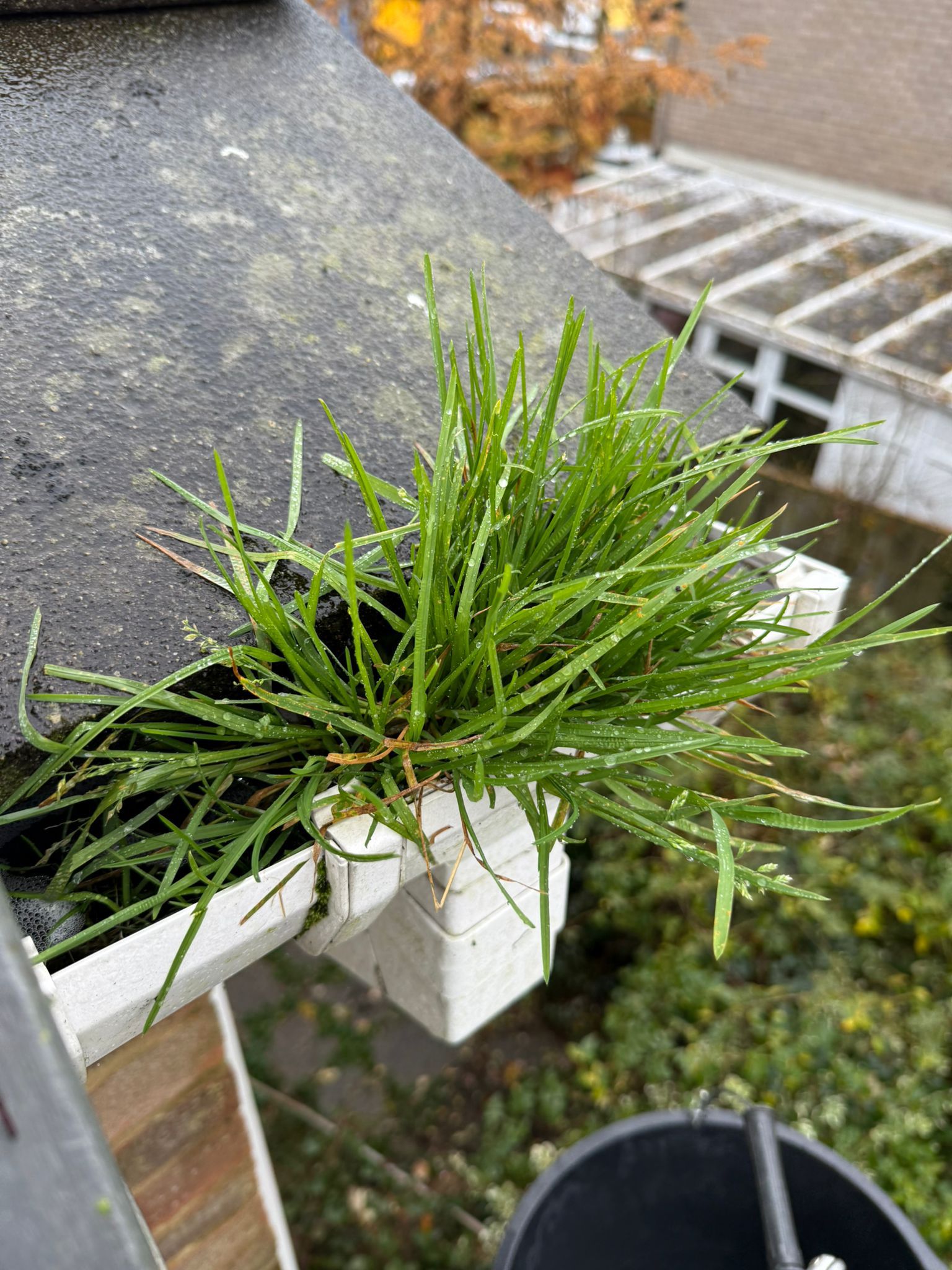 Blocked gutter downpipe in Wokingham
