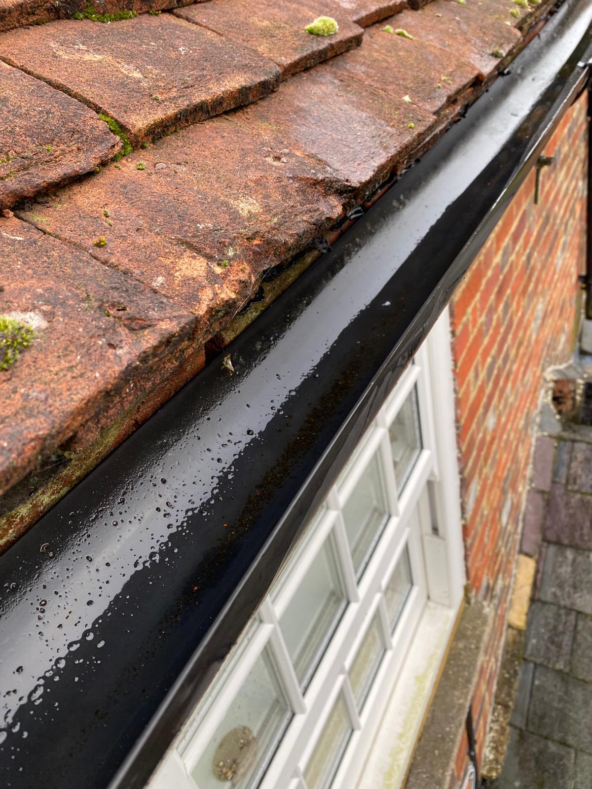gutter cleared  - The Ridges Gutter Clearance is the solution!